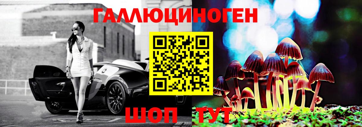 Галлюциногенные грибы Psilocybe  Вход с VPN  дарнет шоп  Галлюциногенные грибы ЛСД  Шарыпово 